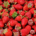 fraises